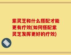 紫灵芝和什么搭配才能更有疗效(如何搭配紫灵芝发挥更好的疗效)