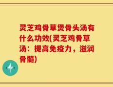 灵芝鸡骨草煲骨头汤有什么功效(灵芝鸡骨草汤：提高免疫力，滋润骨髓)