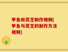甲鱼和灵芝制作视频(甲鱼与灵芝的制作方法视频)