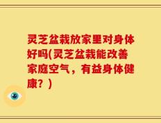 灵芝盆栽放家里对身体好吗(灵芝盆栽能改善家庭空气，有益身体健康？)