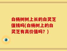 白杨树树上长的白灵芝值钱吗(白杨树上的白灵芝有高价值吗？)