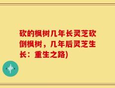 砍的枫树几年长灵芝砍倒枫树，几年后灵芝生长：重生之路)