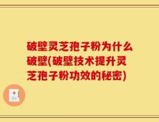 破壁灵芝孢子粉为什么破壁(破壁技术提升灵芝孢子粉功效的秘密)