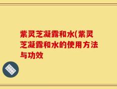 紫灵芝凝露和水(紫灵芝凝露和水的使用方法与功效