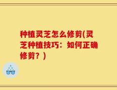种植灵芝怎么修剪(灵芝种植技巧：如何正确修剪？)