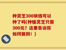 种灵芝300块钱可以种了吗(种植灵芝只需300元？这里告诉你如何做到！)