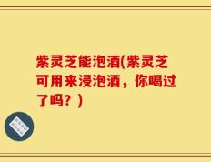 紫灵芝能泡酒(紫灵芝可用来浸泡酒，你喝过了吗？)