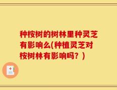 种桉树的树林里种灵芝有影响么(种植灵芝对桉树林有影响吗？)