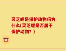 灵芝螺是保护动物吗为什么(灵芝螺是否属于保护动物？)