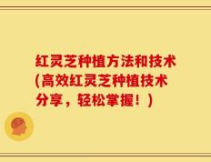 红灵芝种植方法和技术(高效红灵芝种植技术分享，轻松掌握！)