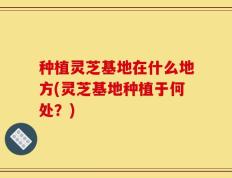 种植灵芝基地在什么地方(灵芝基地种植于何处？)