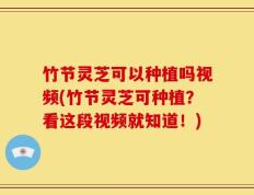 竹节灵芝可以种植吗视频(竹节灵芝可种植？看这段视频就知道！)