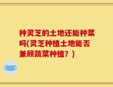 种灵芝的土地还能种菜吗(灵芝种植土地能否兼顾蔬菜种植？)