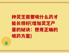 种灵芝需要喷什么药才能长得好(增加灵芝产量的秘诀：使用正确的喷药方案)