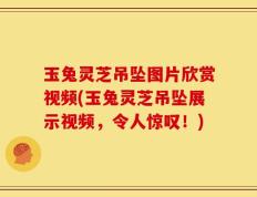 玉兔灵芝吊坠图片欣赏视频(玉兔灵芝吊坠展示视频，令人惊叹！)
