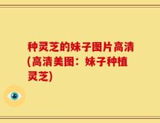 种灵芝的妹子图片高清(高清美图：妹子种植灵芝)