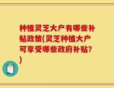 种植灵芝大户有哪些补贴政策(灵芝种植大户可享受哪些政府补贴？)
