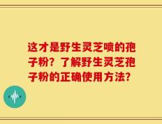 这才是野生灵芝喷的孢子粉？了解野生灵芝孢子粉的正确使用方法？