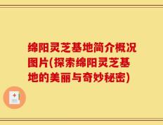 绵阳灵芝基地简介概况图片(探索绵阳灵芝基地的美丽与奇妙秘密)