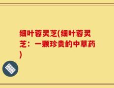 细叶蓉灵芝(细叶蓉灵芝：一颗珍贵的中草药)