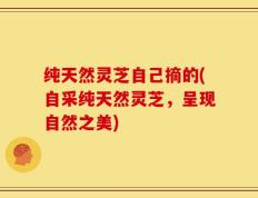 纯天然灵芝自己摘的(自采纯天然灵芝，呈现自然之美)