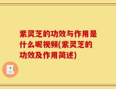 紫灵芝的功效与作用是什么呢视频(紫灵芝的功效及作用简述)