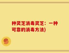 种灵芝消毒灵芝：一种可靠的消毒方法)