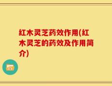 红木灵芝药效作用(红木灵芝的药效及作用简介)