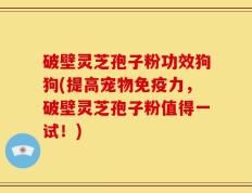 破壁灵芝孢子粉功效狗狗(提高宠物免疫力，破壁灵芝孢子粉值得一试！)
