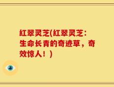 红翠灵芝(红翠灵芝：生命长青的奇迹草，奇效惊人！)