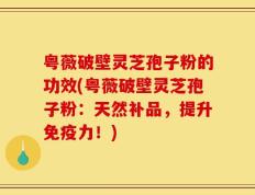 粤薇破壁灵芝孢子粉的功效(粤薇破壁灵芝孢子粉：天然补品，提升免疫力！)