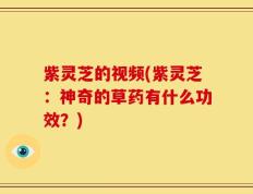 紫灵芝的视频(紫灵芝：神奇的草药有什么功效？)