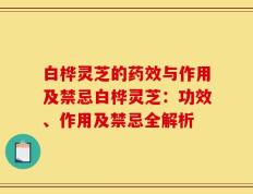 白桦灵芝的药效与作用及禁忌白桦灵芝：功效、作用及禁忌全解析