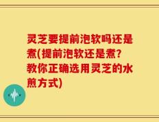 灵芝要提前泡软吗还是煮(提前泡软还是煮？教你正确选用灵芝的水煎方式)
