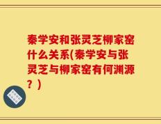 秦学安和张灵芝柳家窑什么关系(秦学安与张灵芝与柳家窑有何渊源？)