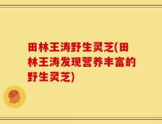 田林王涛野生灵芝(田林王涛发现营养丰富的野生灵芝)