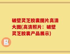 破壁灵芝胶囊图片高清大图(高清照片：破壁灵芝胶囊产品展示)