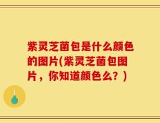 紫灵芝菌包是什么颜色的图片(紫灵芝菌包图片，你知道颜色么？)