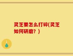 灵芝要怎么打碎(灵芝如何研磨？)