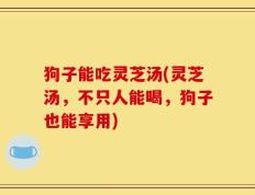 狗子能吃灵芝汤(灵芝汤，不只人能喝，狗子也能享用)