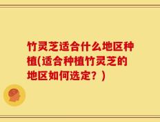 竹灵芝适合什么地区种植(适合种植竹灵芝的地区如何选定？)