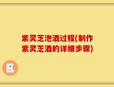紫灵芝泡酒过程(制作紫灵芝酒的详细步骤)