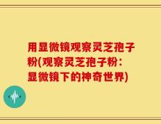用显微镜观察灵芝孢子粉(观察灵芝孢子粉：显微镜下的神奇世界)