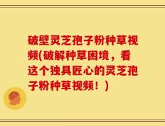 破壁灵芝孢子粉种草视频(破解种草困境，看这个独具匠心的灵芝孢子粉种草视频！)