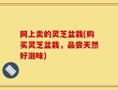 网上卖的灵芝盆栽(购买灵芝盆栽，品尝天然好滋味)