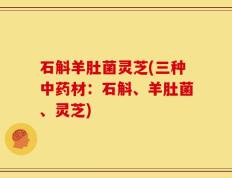 石斛羊肚菌灵芝(三种中药材：石斛、羊肚菌、灵芝)