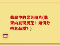 翡翠中的灵芝图片(翡翠内发现灵芝！如何分辨其品质？)