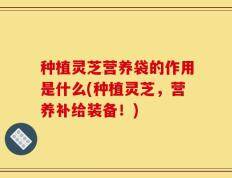 种植灵芝营养袋的作用是什么(种植灵芝，营养补给装备！)
