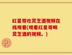 红星哥吃灵芝酒视频在线观看(观看红星哥喝灵芝酒的视频。)