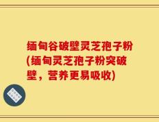 缅甸谷破壁灵芝孢子粉(缅甸灵芝孢子粉突破壁，营养更易吸收)